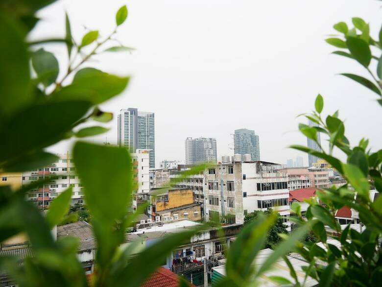 Hostal The Companion - Hostel