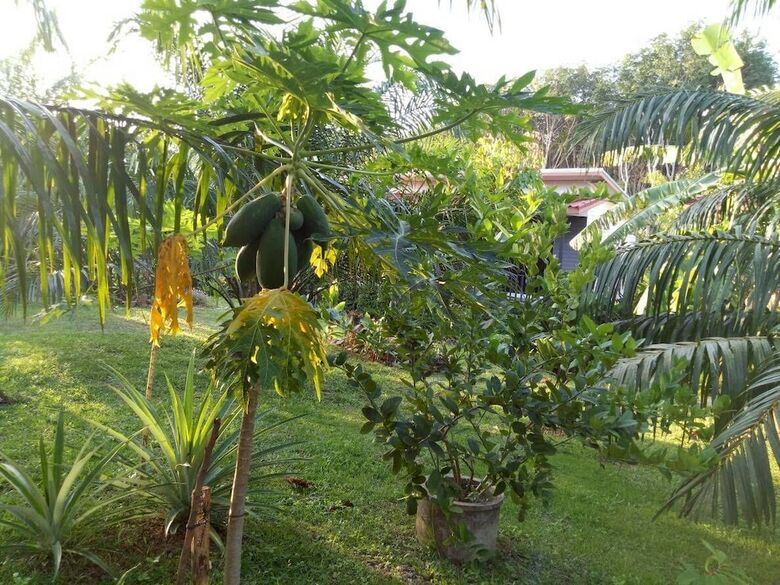 Hotel Baan Reenaa Lanta