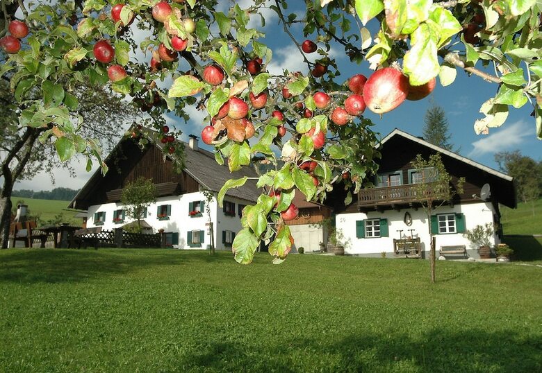 Pension Ferienhof Margarthengut