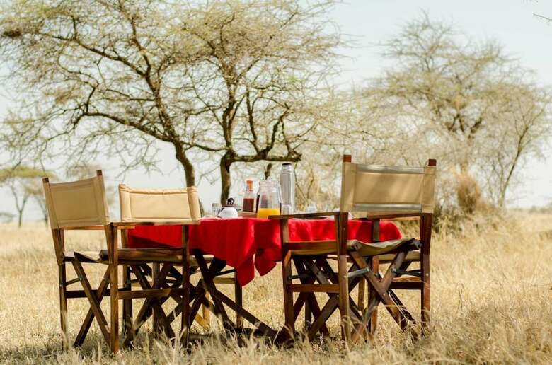 Posada Gnu Ndutu Camp
