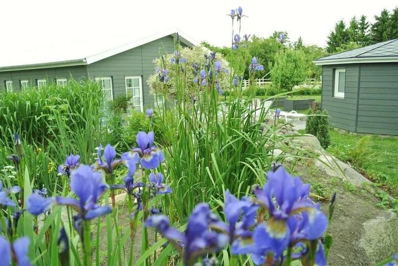K�rskovg�rd Bed & Breakfast