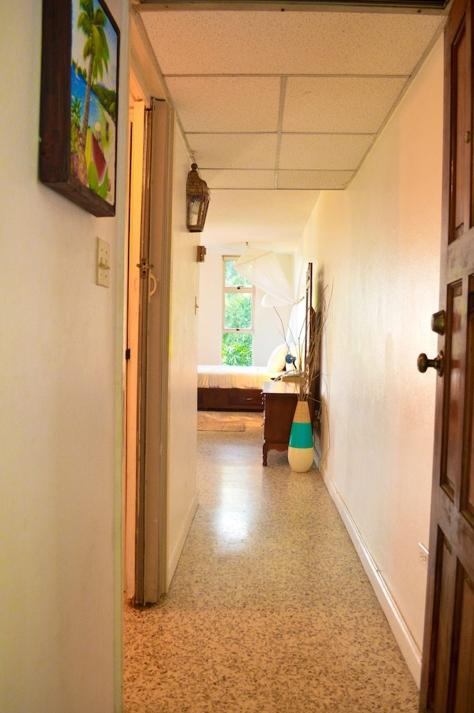 Apartamentos Crystal Beach Studio