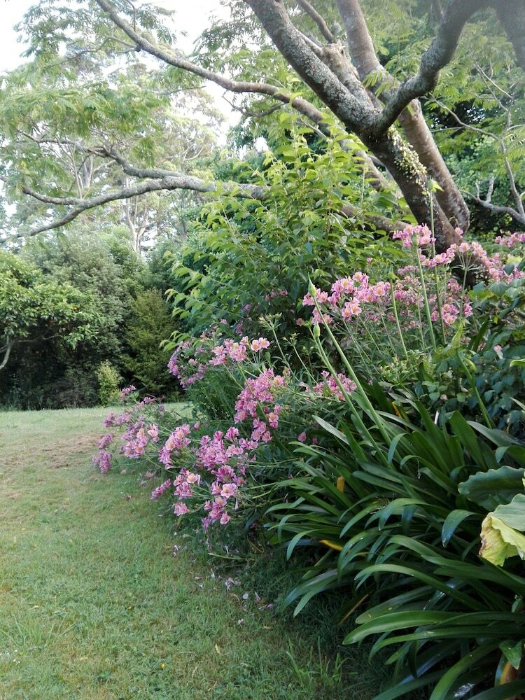 Hotel Purple Hen Guest House
