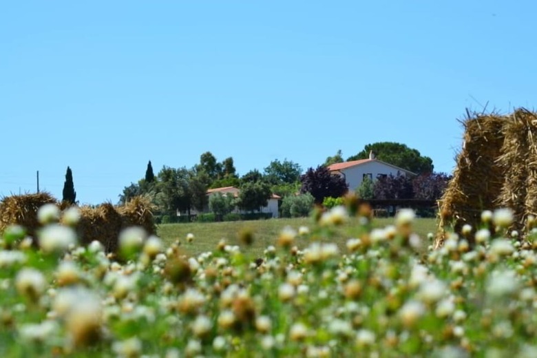 Agroturismo Agriturismo Il Fontanile