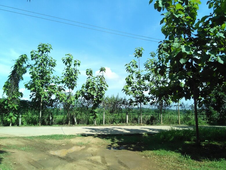 Hotel Loei Airport Homestay