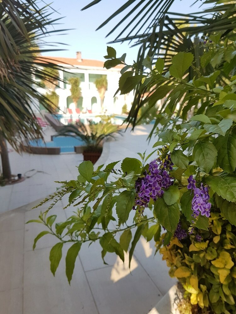 Pidasus Hotel