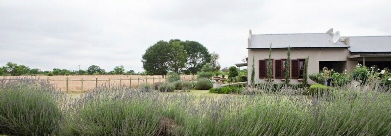 Bed & Breakfast Bullfrogs Nest Guesthouse