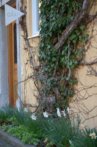 Hotel Evangelische Akademie Tutzing