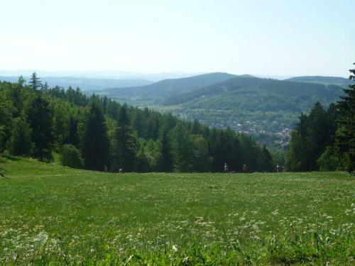 Spacious Holiday Home In Unterschonau Near Forest