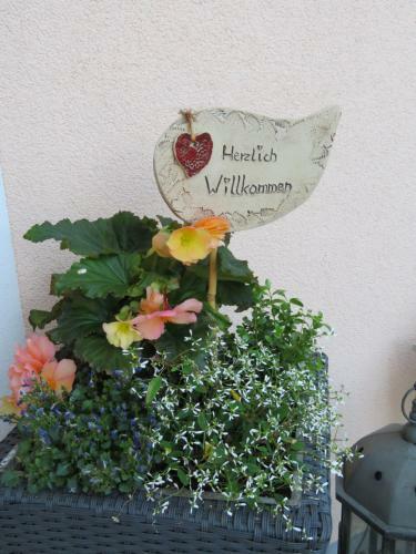 Apartamento Ferienwohnung Anderl