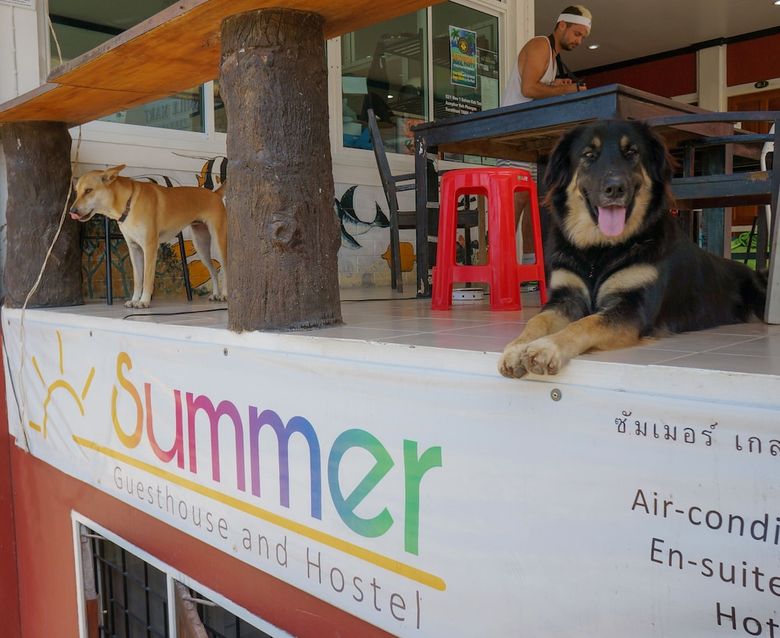 Hostal Summer Guesthouse & Hostel
