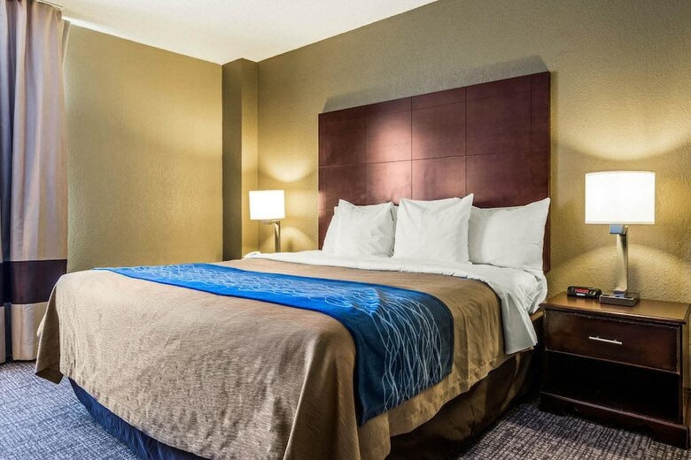 Hotel Comfort Inn Atlanta Downtown South