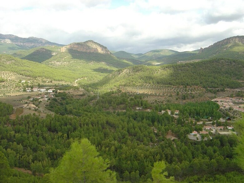 Hostal R�o Segura