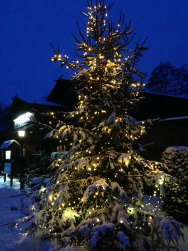 Hotel & Restaurant Zur Spreew�lderin
