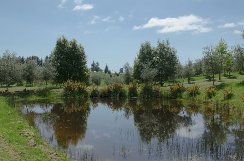 Posada Tasman Hill Lodge - Adult Only