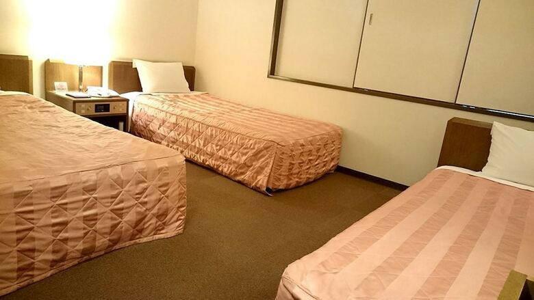 Hotel City Pension Le Liondor