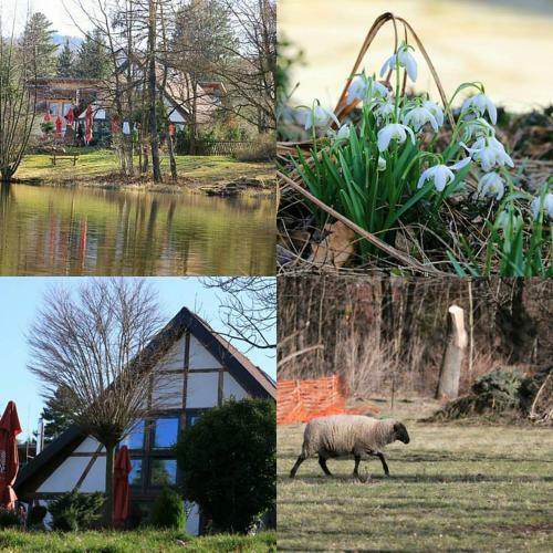 Hotel Landhaus Tonm�hle