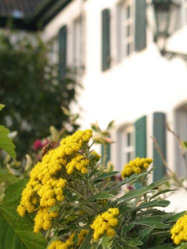 Hostal Rheinriver Guesthouse - Art Hotel
