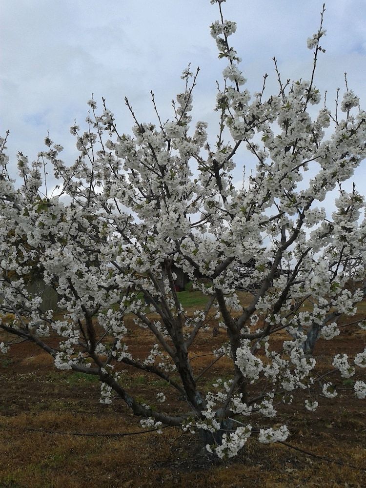 Agroturismo Casa Rural La Vallejera