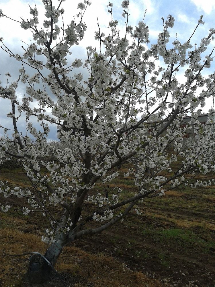 Agroturismo Casa Rural La Vallejera