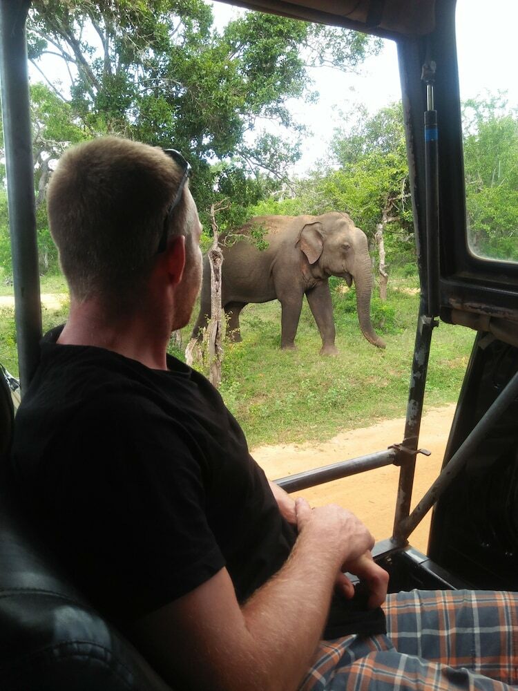 Hotel Nehansa Resort And Safari