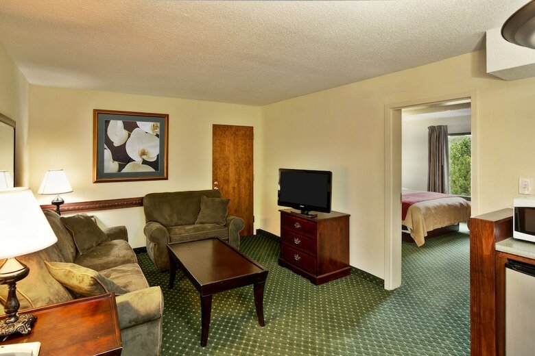 Hotel Comfort Inn Chester - Richmond South
