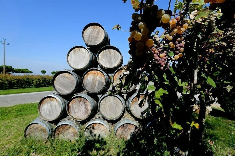 Agroturismo Trere Agriturismo
