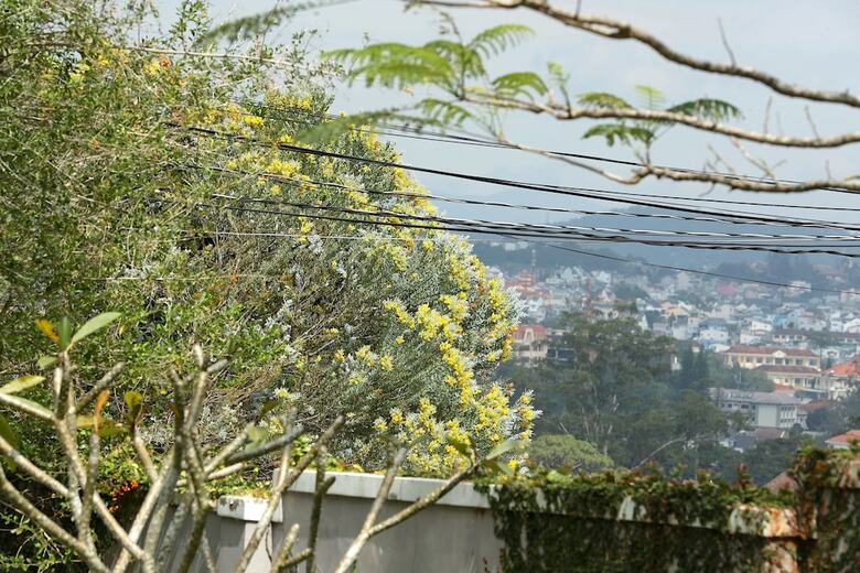 Hotel Sol House Dalat Homestay