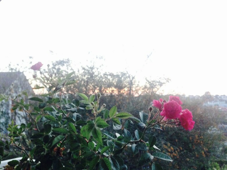 Hotel Sol House Dalat Homestay