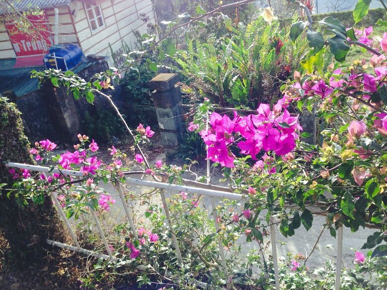 Hotel Sol House Dalat Homestay