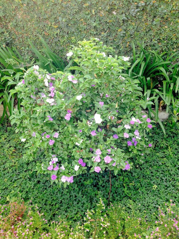 Hotel Sol House Dalat Homestay