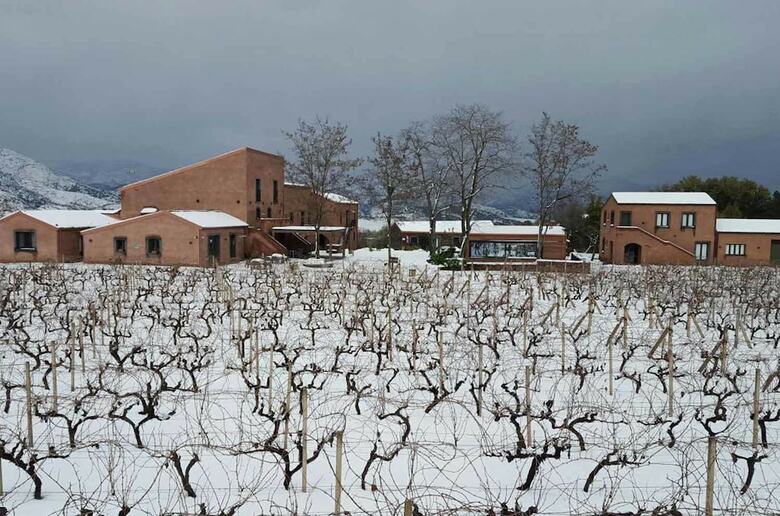 Agroturismo Cavanera Etnea Resort & Wine Experience