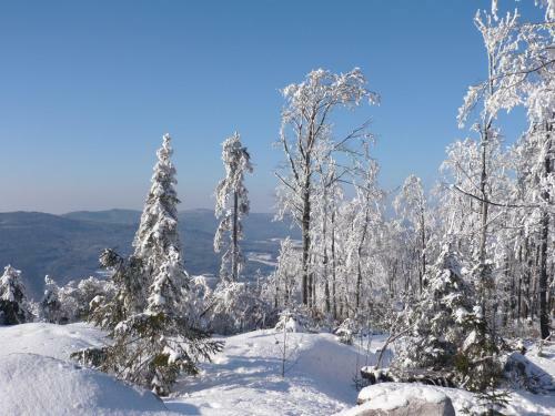 Hostal Pension Und Ferienwohnungen K�nig