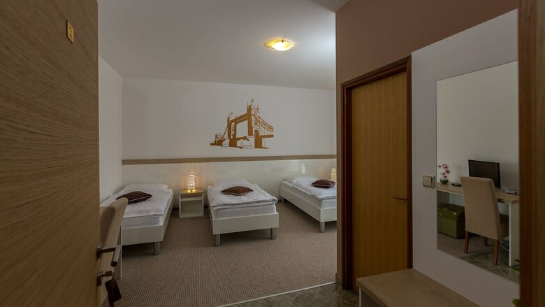 Hotel Rooms Ple?ka Zagreb Airport