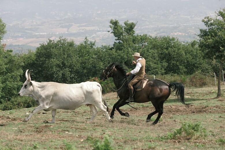 Agroturismo Agriturismo La Forra
