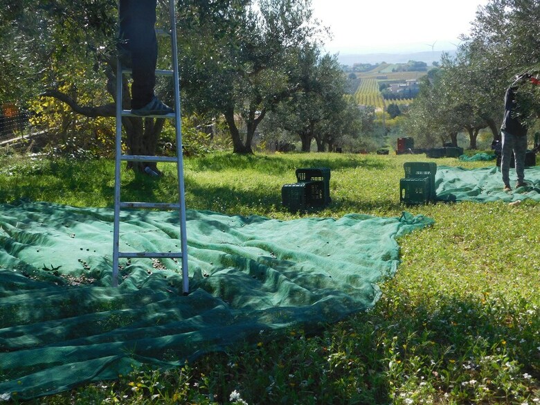 Agroturismo Agriturismo Case Sgaraglino