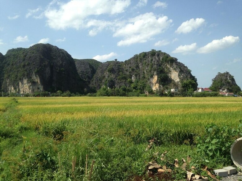 Hotel Tam Coc Mountain View Homestay