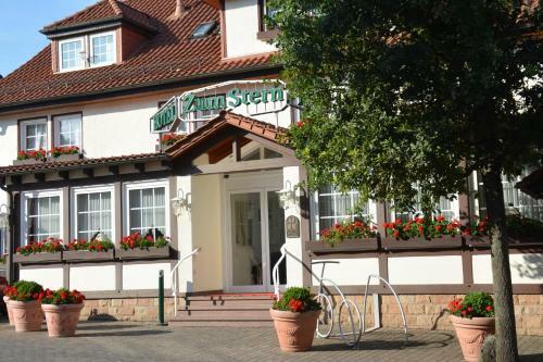 Flair-hotel Zum Stern