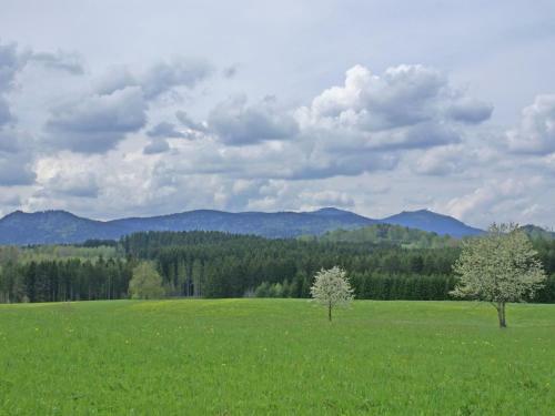 Apartamento Sonja