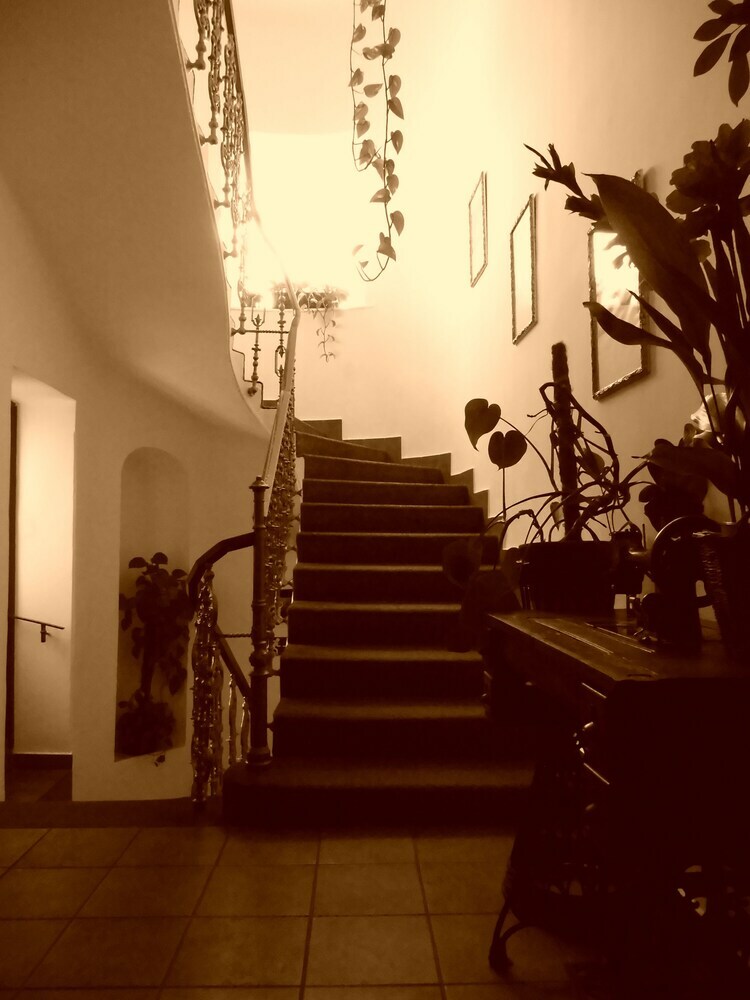 Hotel Excellent