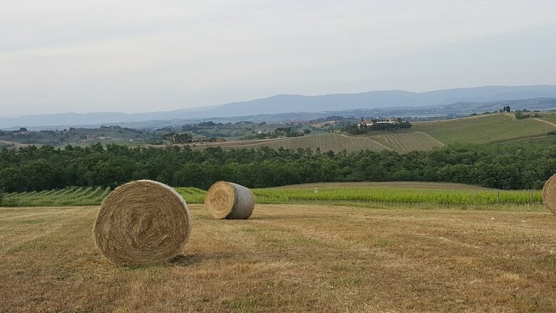 Agroturismo Agriturismo Podere Casa Al Vento