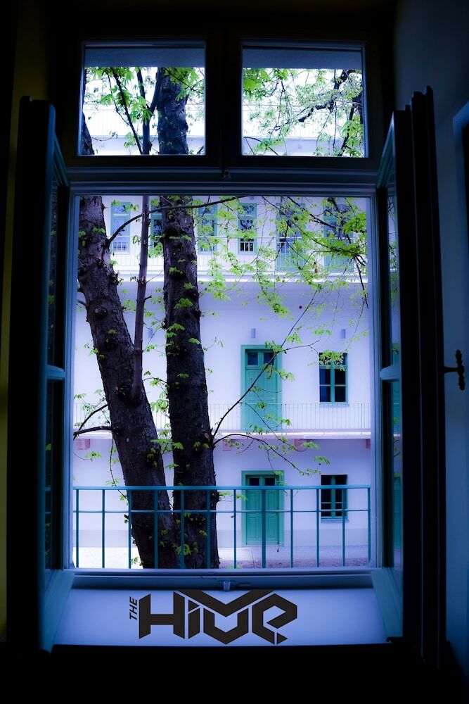 Hostal The Hive Party Hostel