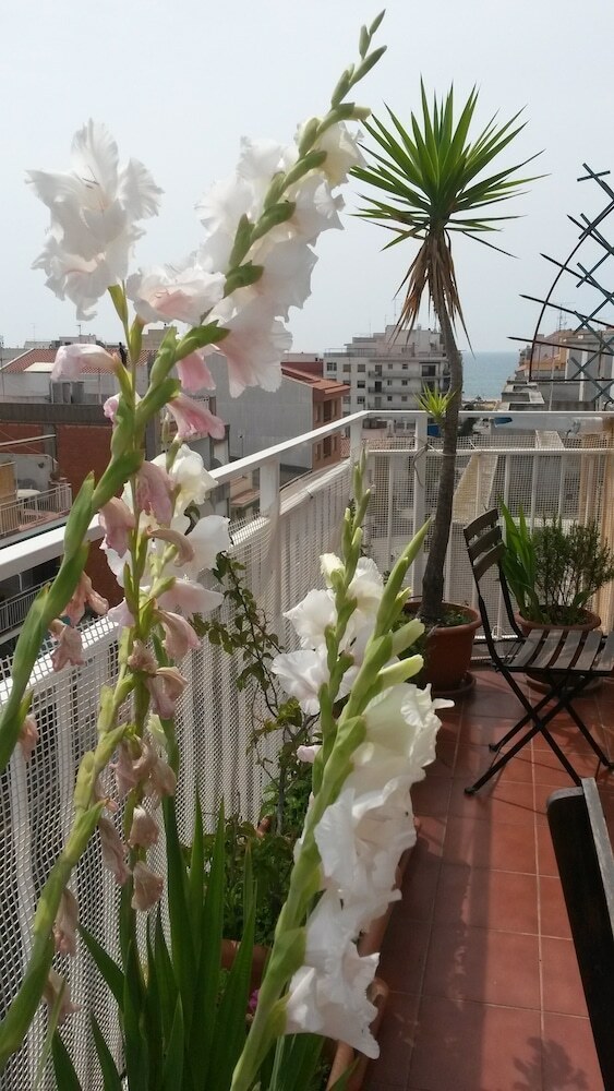 Apartamento Mediterr�neo