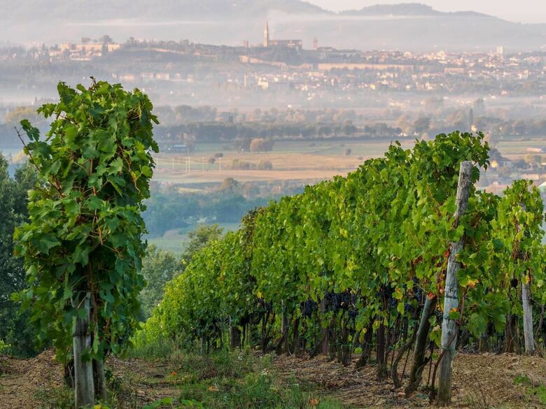 Agroturismo Borgo Il Palazzo