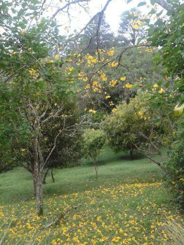 Hostal Pousada Recanto �guas Vivas