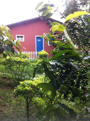 Tabuleiro Eco Hostel