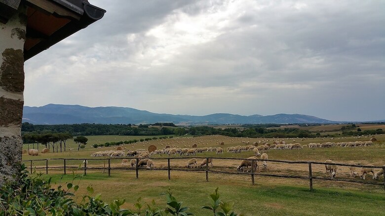 Agroturismo Agriturismo La Polledrara