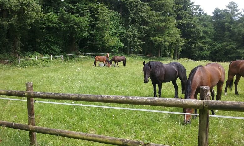 Agroturismo Gite de La Croix Du H�tre