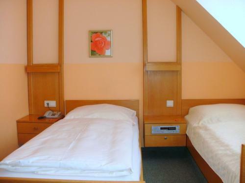 Hostal Gasthof Landhotel Gr�ner Baum