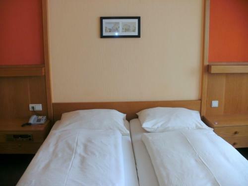 Hostal Gasthof Landhotel Gr�ner Baum